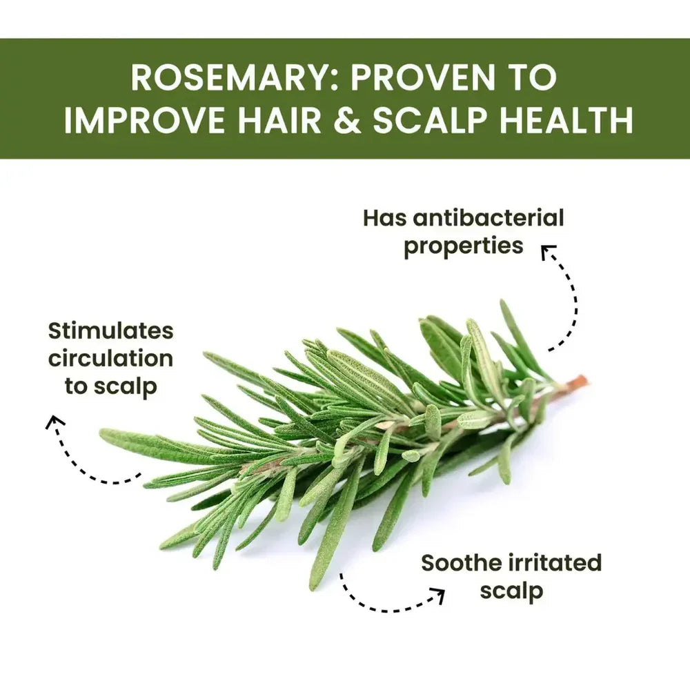 Rosemary Water Spray | For Hair Regrowth (Buy 1 Get 2 Free đ)